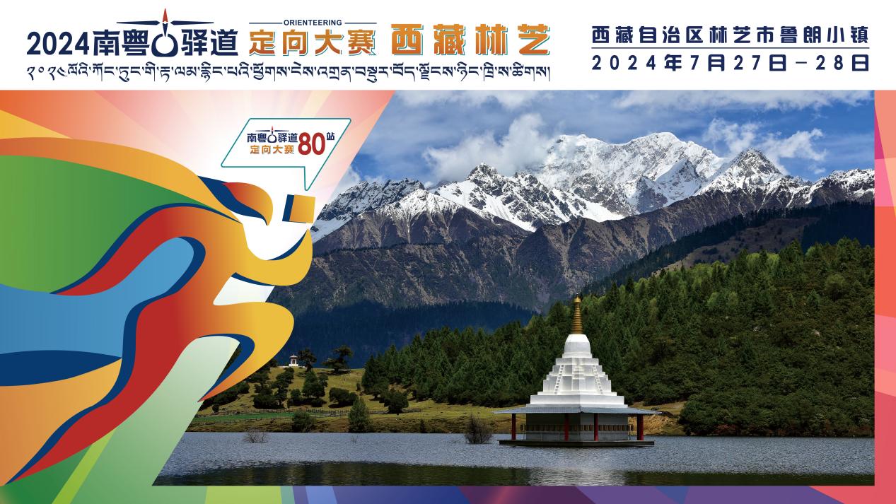 6e6dac0f16b48bf58fd57e37ef50385