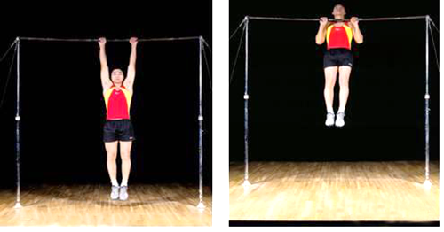 标准引体向上的练法、作用以及所练肌肉有哪些_深挖健身网